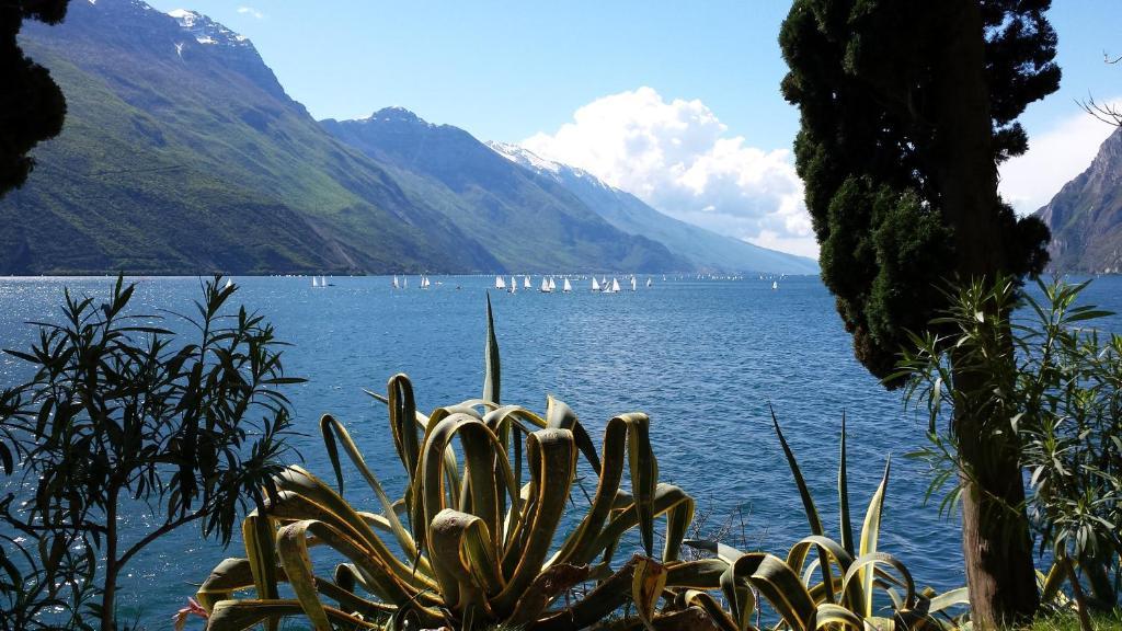 Hotel Angelini Torbole Sul Garda Екстериор снимка